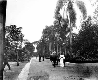 Jardim da Luz em 1908. Foto de Guilherme Gaensly