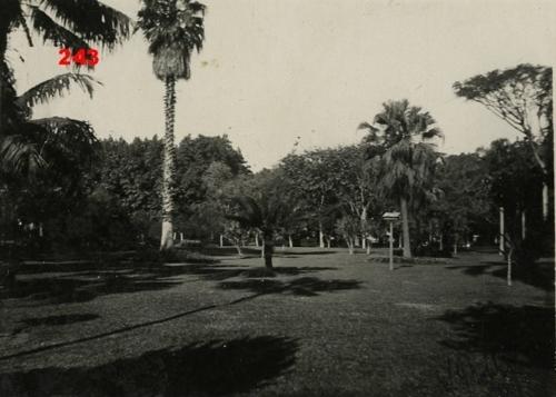 Jardim da Luz na década de 30